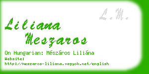 liliana meszaros business card
